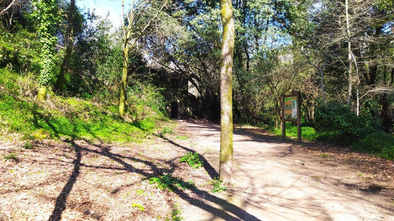 Wasi Compostela Villa Santiago de Compostela Bagian luar foto